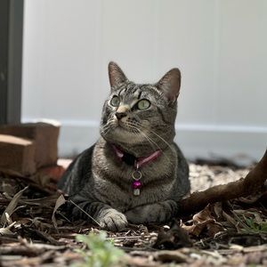 Meet your Posher, Sage